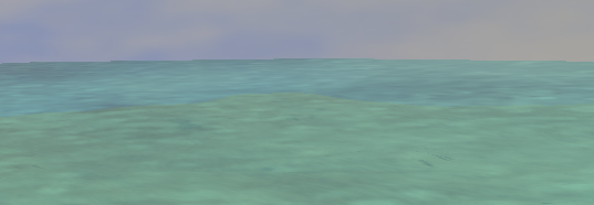 The Ocean Motion in the Ocean